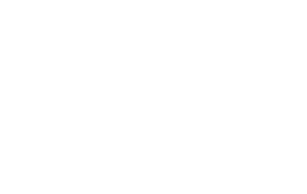 vividus Portfolio vividus design